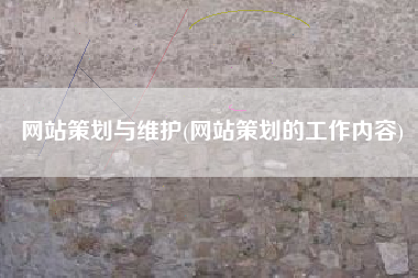 网站策划与维护(网站策划的工作内容)