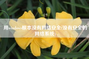 用windows根本没有网络安全(没有安全的网络系统)
