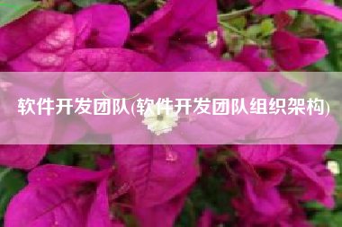 软件开发团队(软件开发团队组织架构)