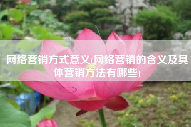 网络营销方式意义(网络营销的含义及具体营销方法有哪些)