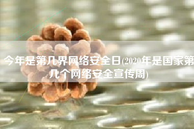 今年是第几界网络安全日(2020年是国家第几个网络安全宣传周)