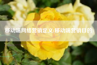 移动端网络营销定义(移动端营销目的)
