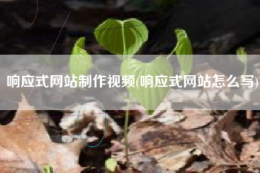 响应式网站制作视频(响应式网站怎么写)