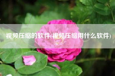 视频压缩的软件(视频压缩用什么软件)