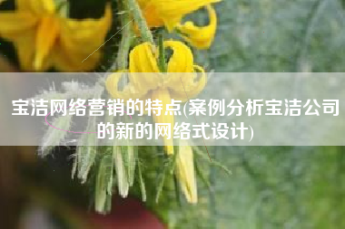 宝洁网络营销的特点(案例分析宝洁公司的新的网络式设计)
