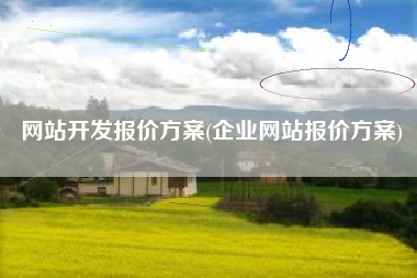 网站开发报价方案(企业网站报价方案)