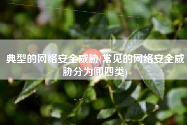 典型的网络安全威胁(常见的网络安全威胁分为哪四类)