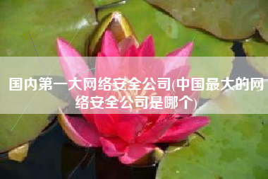国内第一大网络安全公司(中国最大的网络安全公司是哪个)
