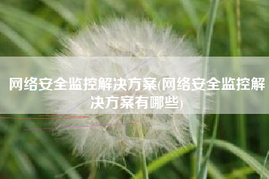 网络安全监控解决方案(网络安全监控解决方案有哪些)
