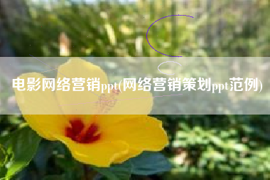 电影网络营销ppt(网络营销策划ppt范例)