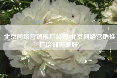 北京网络营销推广公司(北京网络营销推广培训哪家好)