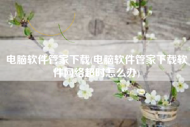 电脑软件管家下载(电脑软件管家下载软件网络超时怎么办)