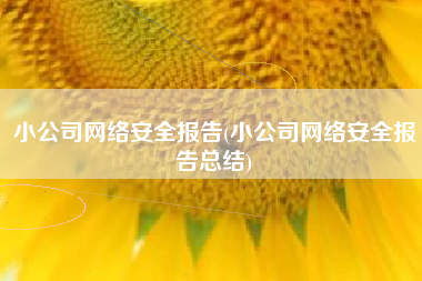 小公司网络安全报告(小公司网络安全报告总结)