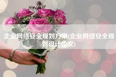 企业网络安全规划方案(企业网络安全规划设计论文)