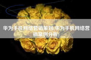 华为手机网络营销策划(华为手机网络营销案例分析)