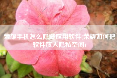 荣耀手机怎么隐藏应用软件(荣耀如何把软件放入隐私空间)