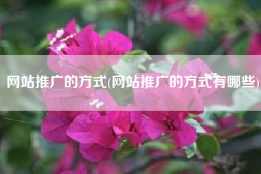 网站推广的方式(网站推广的方式有哪些)