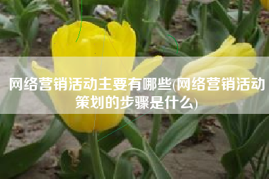 网络营销活动主要有哪些(网络营销活动策划的步骤是什么)