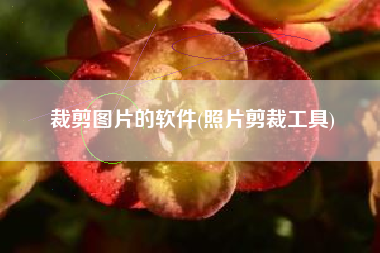 裁剪图片的软件(照片剪裁工具)