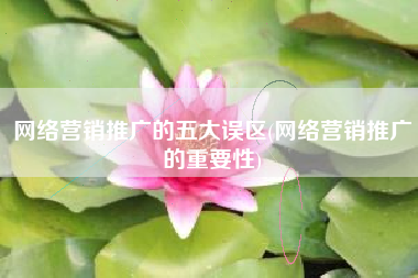 网络营销推广的五大误区(网络营销推广的重要性)