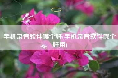 手机录音软件哪个好(手机录音软件哪个好用)