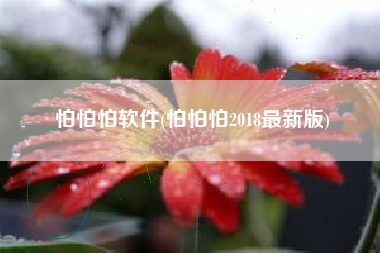 怕怕怕软件(怕怕怕2018最新版)