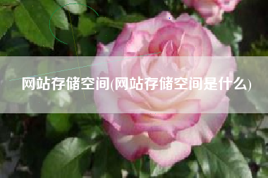 网站存储空间(网站存储空间是什么)