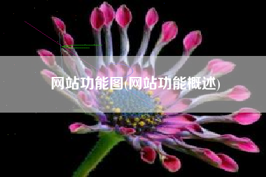 网站功能图(网站功能概述)