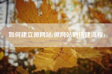如何建立微网站(微网站的搭建流程)