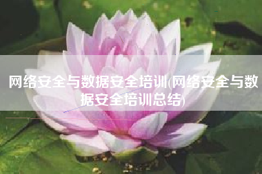 网络安全与数据安全培训(网络安全与数据安全培训总结)