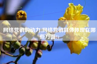 网络营销的动力(网络营销具体体现在哪些方面?)