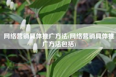 网络营销具体推广方法(网络营销具体推广方法包括)