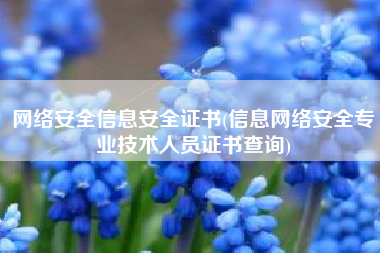 网络安全信息安全证书(信息网络安全专业技术人员证书查询)