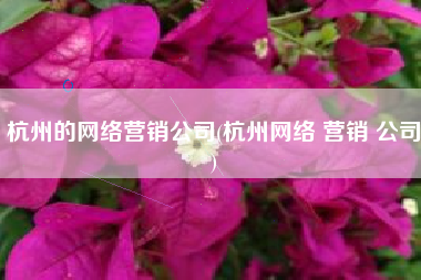 杭州的网络营销公司(杭州网络 营销 公司)