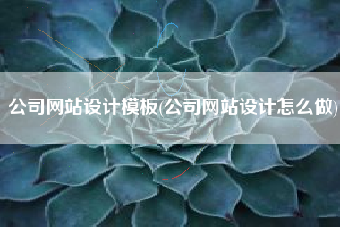 公司网站设计模板(公司网站设计怎么做)