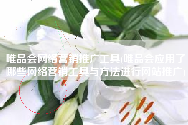 唯品会网络营销推广工具(唯品会应用了哪些网络营销工具与方法进行网站推广)