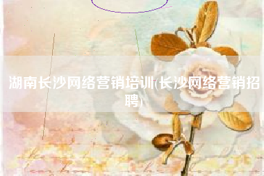 湖南长沙网络营销培训(长沙网络营销招聘)