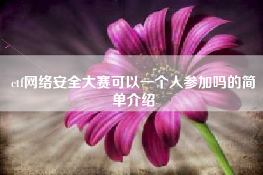 ctf网络安全大赛可以一个人参加吗的简单介绍
