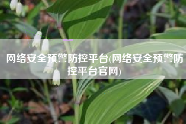 网络安全预警防控平台(网络安全预警防控平台官网)