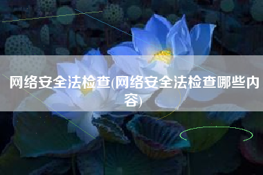 网络安全法检查(网络安全法检查哪些内容)