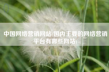 中国网络营销网站(国内主要的网络营销平台有哪些网站)