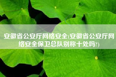 安徽省公安厅网络安全(安徽省公安厅网络安全保卫总队别称十处吗?)