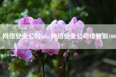 网络安全公司fofa(网络安全公司排名前100)