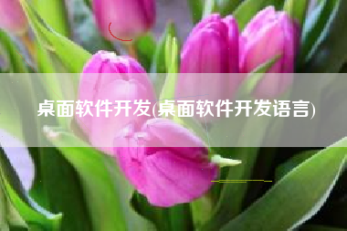 桌面软件开发(桌面软件开发语言)