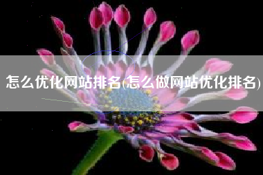 怎么优化网站排名(怎么做网站优化排名)