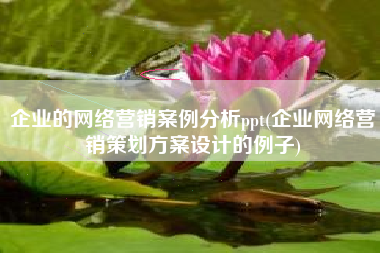 企业的网络营销案例分析ppt(企业网络营销策划方案设计的例子)