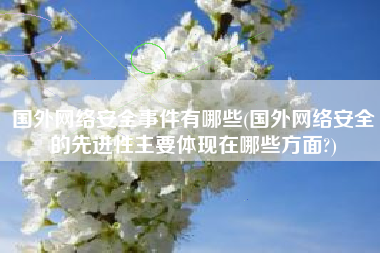 国外网络安全事件有哪些(国外网络安全的先进性主要体现在哪些方面?)