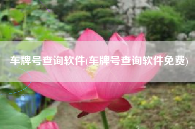 车牌号查询软件(车牌号查询软件免费)