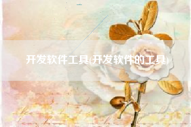 开发软件工具(开发软件的工具)