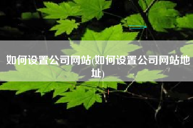 如何设置公司网站(如何设置公司网站地址)